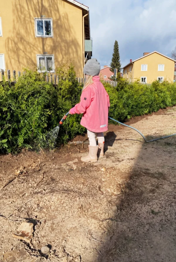 Tuja Brabant Rotklump Genius Pakke 100-140cm - Bilde 2