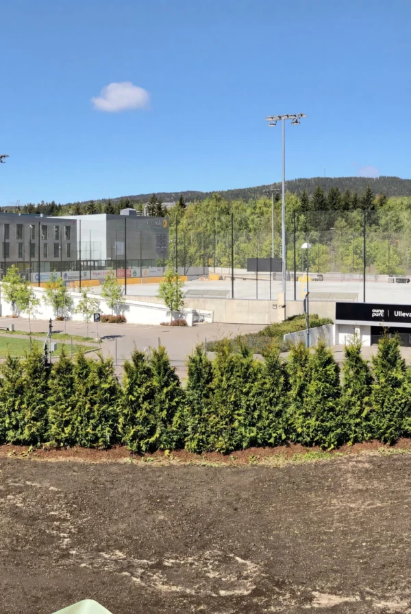 Kjempetuja Rotklump Genius Pakke 220-260cm - Bilde 2